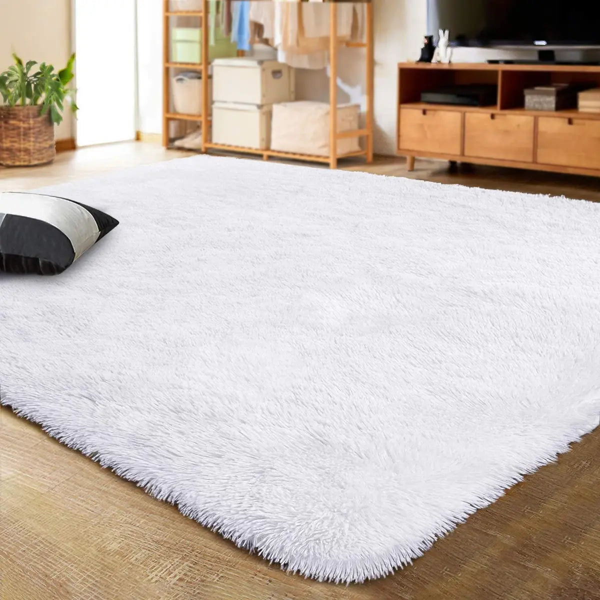 NOAHAS Large Carpet for Living Room Decor Rugs Fluffy Thick Plush