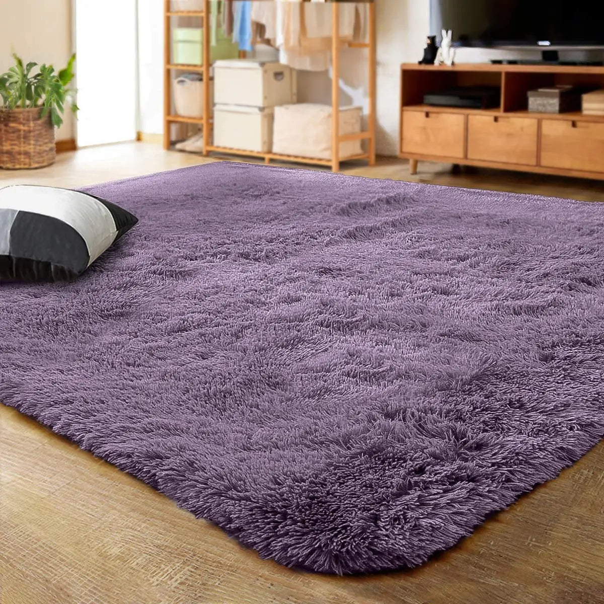 NOAHAS Large Carpet for Living Room Decor Rugs Fluffy Thick Plush